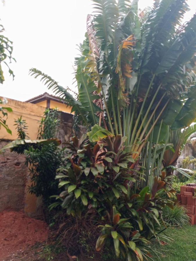 Zen Villas - Chales, Bem-Estar E Conexao Com A Natureza Lauro de Freitas Extérieur photo