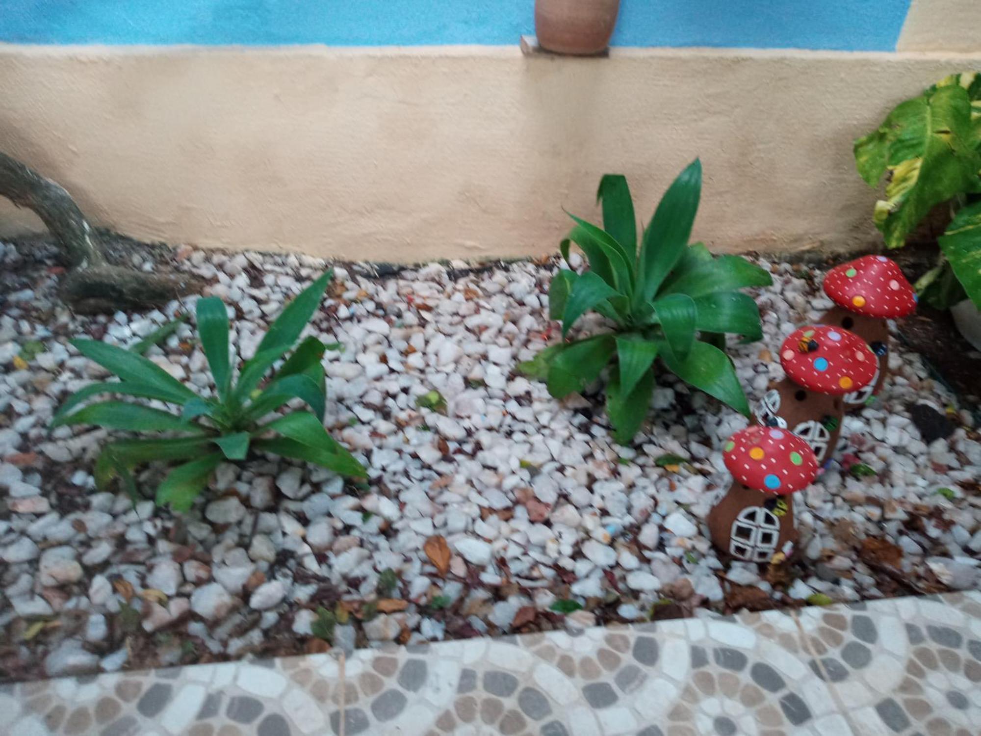 Zen Villas - Chales, Bem-Estar E Conexao Com A Natureza Lauro de Freitas Extérieur photo