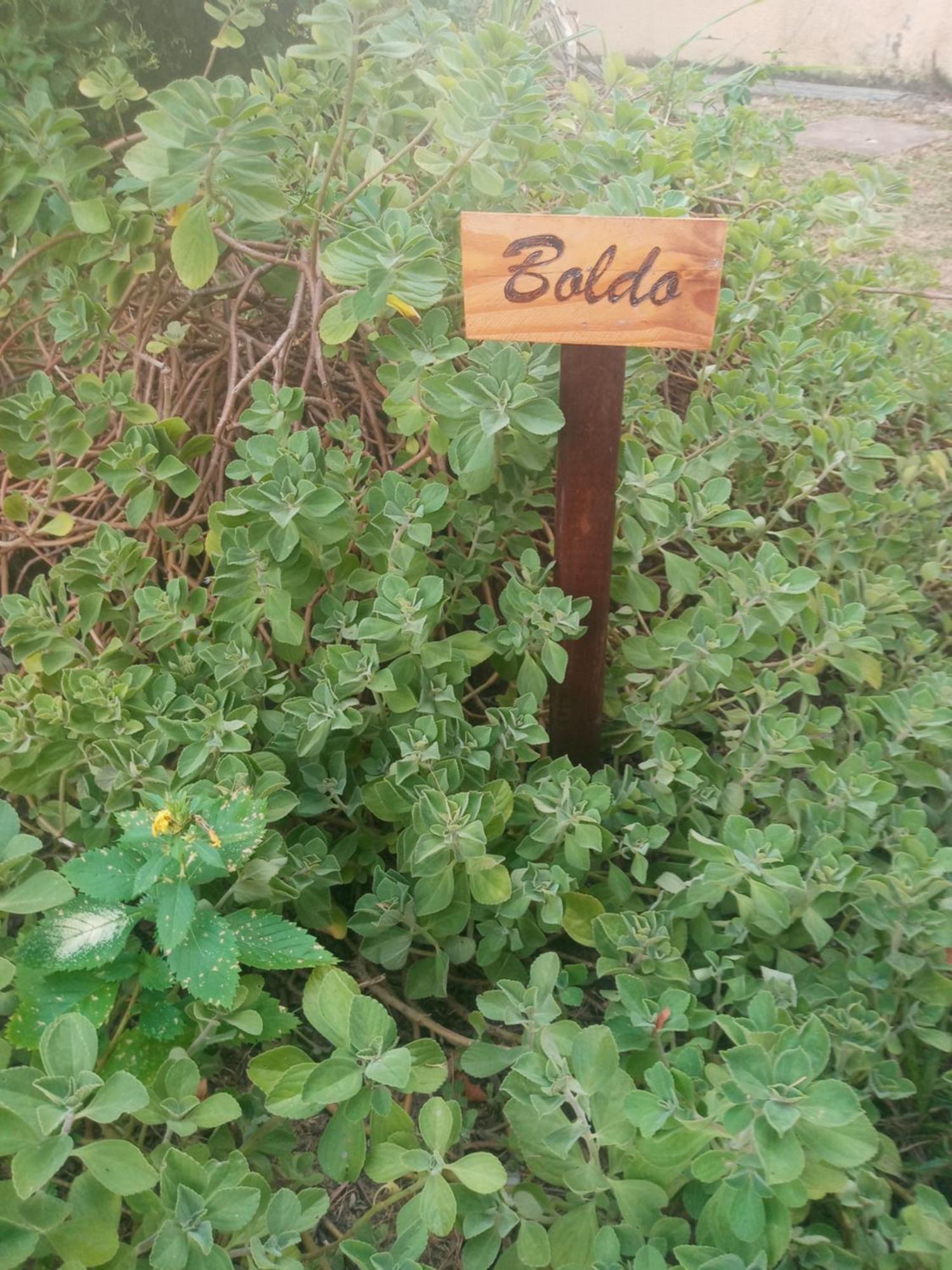 Zen Villas - Chales, Bem-Estar E Conexao Com A Natureza Lauro de Freitas Extérieur photo